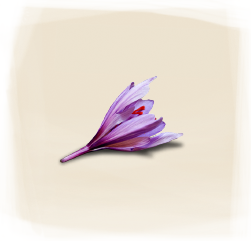 Safran
