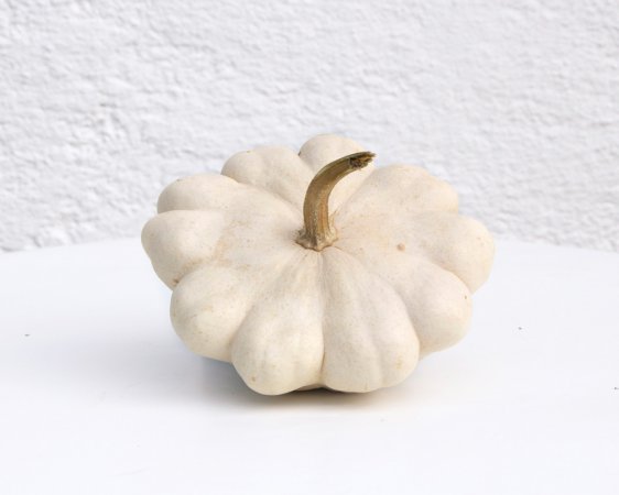 CUSTARD WHITE