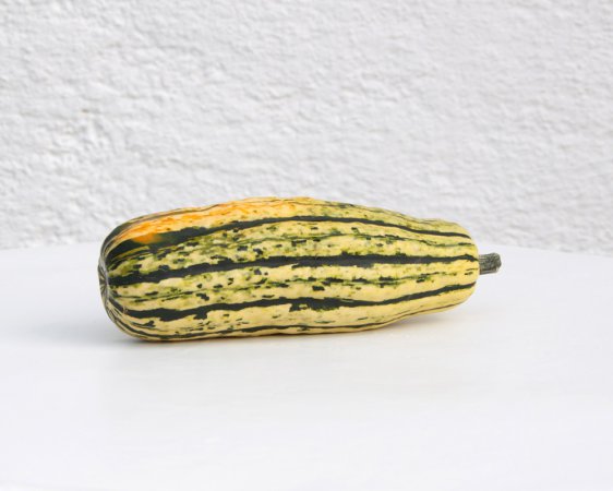DELICATA