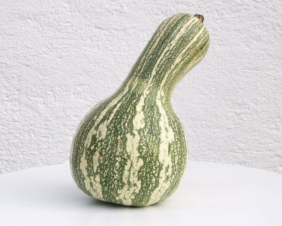 CUSHAW GREEN STRIPED