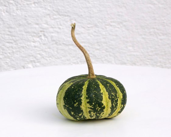 FLAT STRIPED