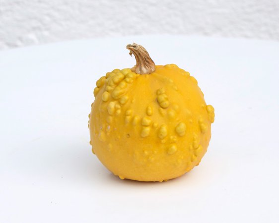 ORANGE WARZE
