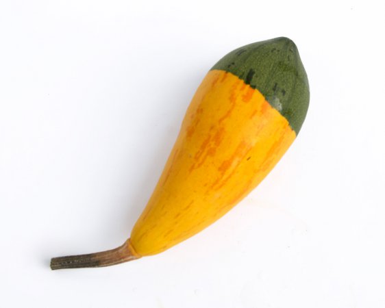 KLEINER BICOLOR