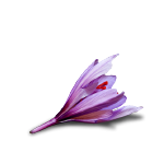 SAFRAN